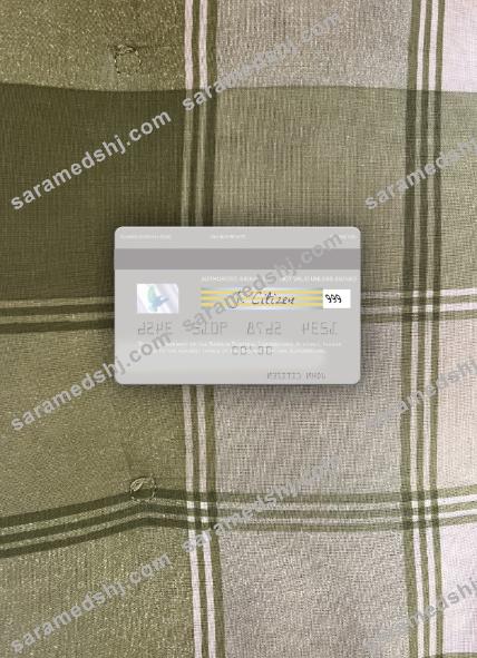 Luxembourg Banque Fortuna visa debit card photolook back